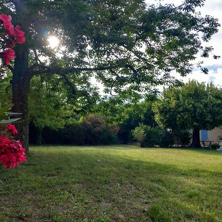 Le Petit Mas Des Alpilles En Provence Villa Saint-Étienne-du-Grès Екстериор снимка